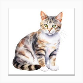 Hungarian Shorthair Cat Portrait 1 Canvas Print