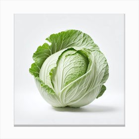 Cabbage Canvas Print