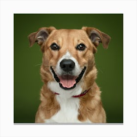 Portrait Of A Dog 4 Canvas Print