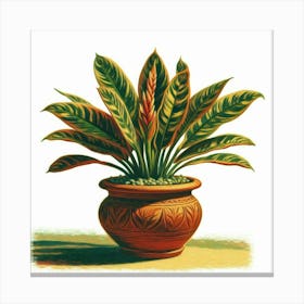 Cactus Canvas Print