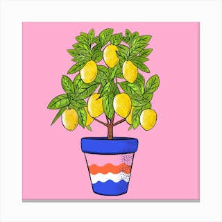 Lemon Tree Square Canvas Print