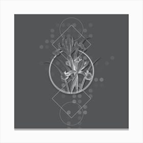 Vintage Spanish Iris Botanical with Line Motif and Dot Pattern in Ghost Gray n.0286 Canvas Print