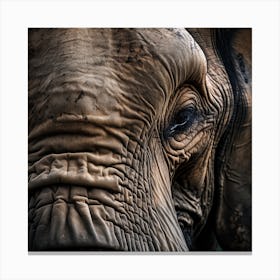 Elephant Photo 2 Canvas Print