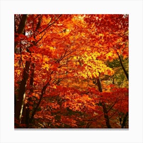 Firefly Autumn Leaves In Blaze Fiery Reds, Oranges, And Yellows Of Fall Foliage 3 Toile