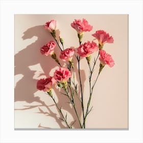 Pink Carnations Canvas Print