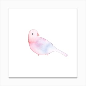 Blushing Bird Garnet Square Canvas Print