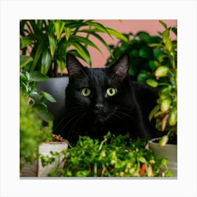 Black Cat With Plants Canvas Print