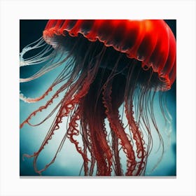 Jellyfish 7 Canvas Print