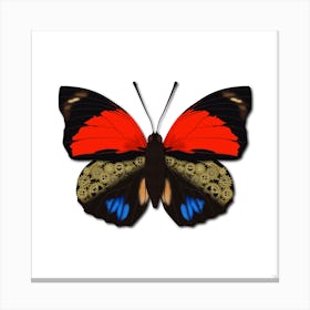 Mechanical Butterfly The Agrias Amydon Tryphon On A White Background Canvas Print