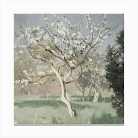 Apple Blossoms 2 Canvas Print