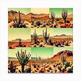 Cactus Desert, Collage Of Cacti, Flowers, Desert Canvas Print