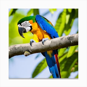 Colorful Parrot 8 Canvas Print