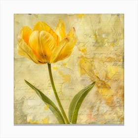 Yellow Tulip On Old Paper Canvas Print