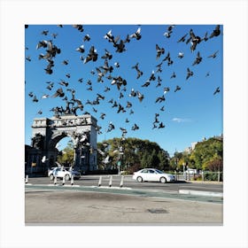 Pigeons In The Park Canvas Print