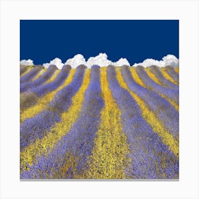 Lavender Heaven Canvas Print