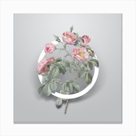 Vintage Tomentose Rose Minimalist Floral Geometric Circle on Soft Gray n.0136 Canvas Print