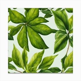 Seamless Pattern Of Green Leaves Canvas Print