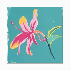 Fuchsia 2 Square Flower Illustration Canvas Print