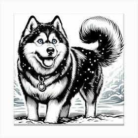 Husky dog 13 Canvas Print