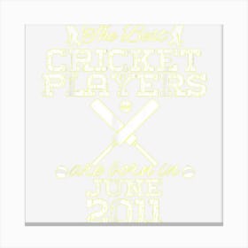 13 Year Old Birthday In June 2011 Best Cricket Players 1 Canvas Print