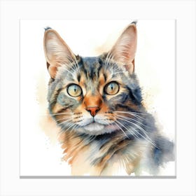 Mekong Bobtail Cat Portrait 3 Canvas Print
