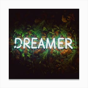 Dreamer 1 Canvas Print