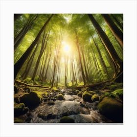 Forest Stream 2 Canvas Print