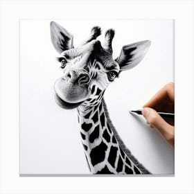 Giraffe Drawing Canvas Print