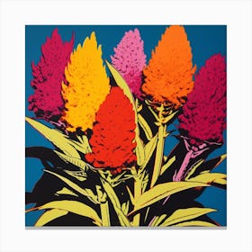 Celosia 1 Pop Art Illustration Square Canvas Print