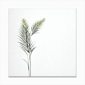 plant minimalist 11 Canvas Print