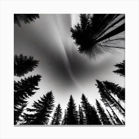 Sky Above The Trees Canvas Print