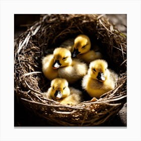 Ducklings In Nest Canvas Print