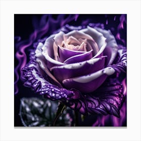 Purple Rose Canvas Print