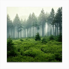 Firefly Misty Pine Forest Background 57823 Stampe su tela