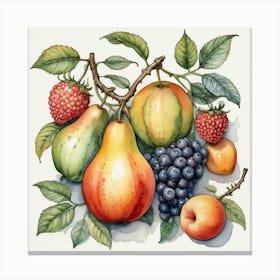 Fruit And Berries 1 Canvas Print