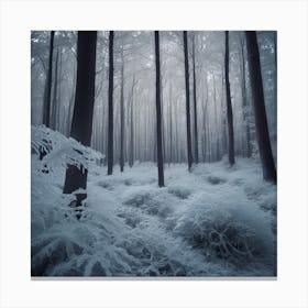 Frosty Forest Canvas Print