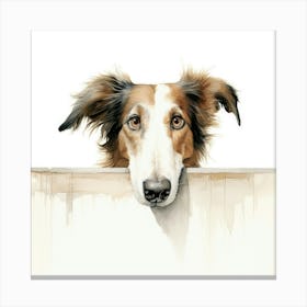 Collie Dog 3 Canvas Print