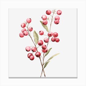 Red Berries Canvas Print