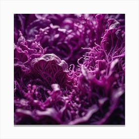 Purple Cabbage 2 Canvas Print