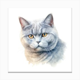 British Shorthair Cat Portrait 3 Canvas Print