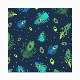 Peacock Feathers Canvas Print