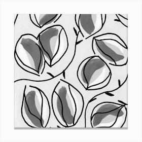 Seed Pods Square Black White Canvas Print