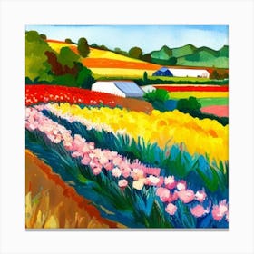 Tulip Field 3 Canvas Print