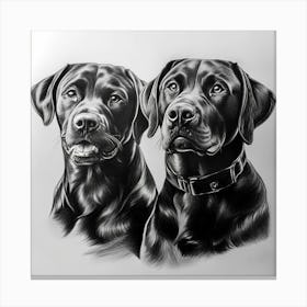 Black Labradors Canvas Print