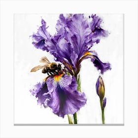 Iris 1 Canvas Print