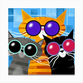 Three Cool Cats Canvas Print