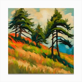 Cedar Trees On The Hill Canvas Print