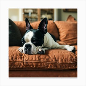 Boston Terrier Sleeping On The Couch (2) Canvas Print