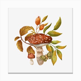 Woodland mushroom Canvas Print