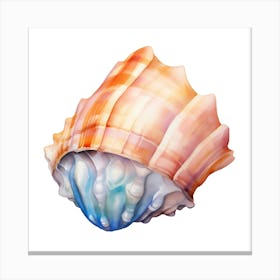 Sea Shell Isolated On White Background 2 Canvas Print